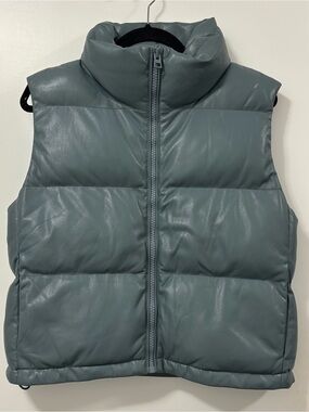 Aritzia - Wilfred Free Vista Puffer Vest